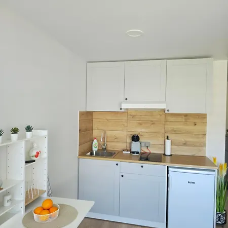 Apartment 11 Druskininkai